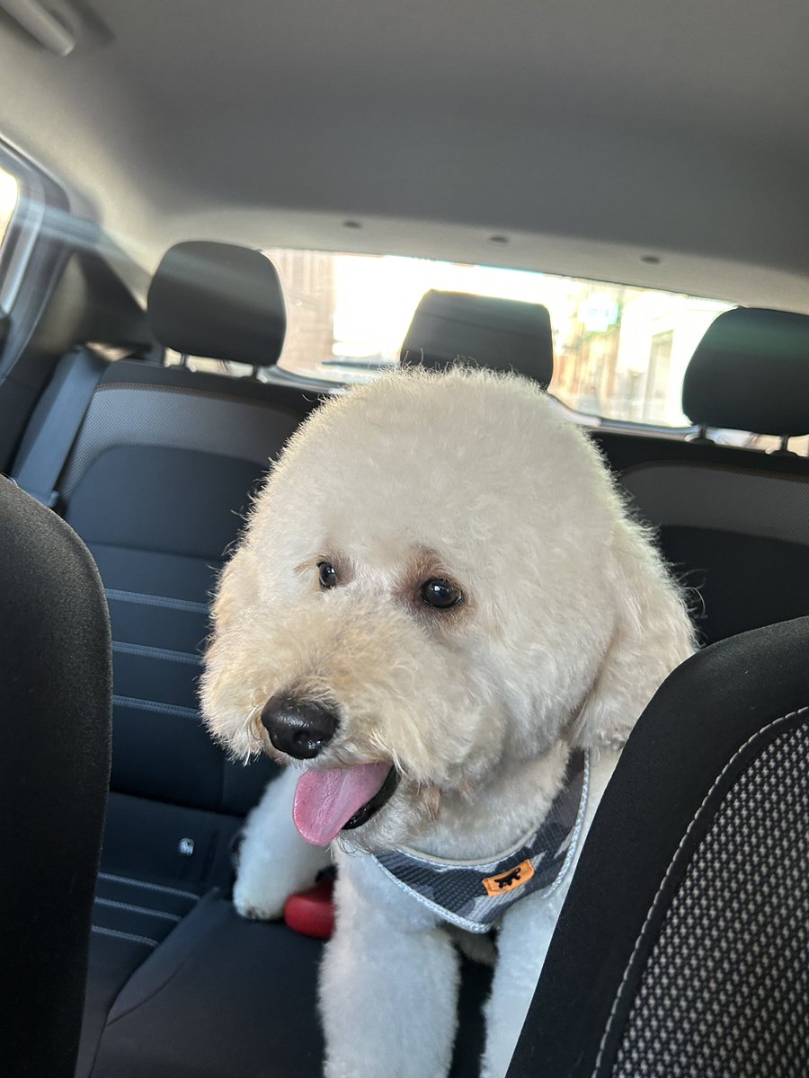 Emma l Puig tweet media