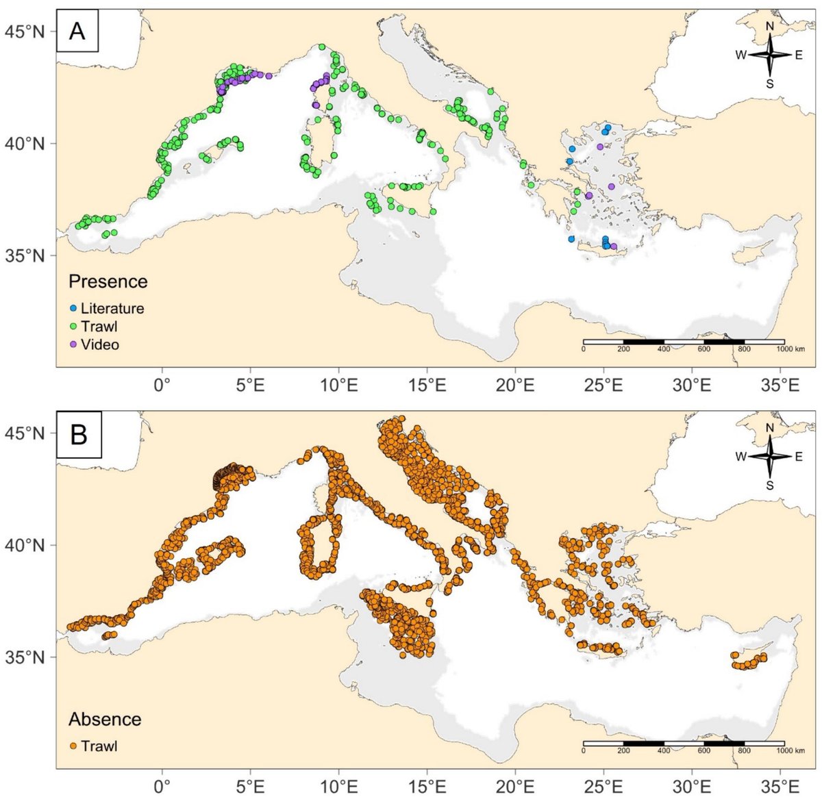 ieo_baleares's tweet photo. 🗞️ #IEO_Baleares_Publication et al ➡️ 'Habitat shifts of the vulnerable crinoid Leptometra phalangium under climate change scenarios'
https://t.co/A4knL8LLIx
#MEDITSSurveys #MEDITS #FEMPA https://t.co/5d3f38aTnU