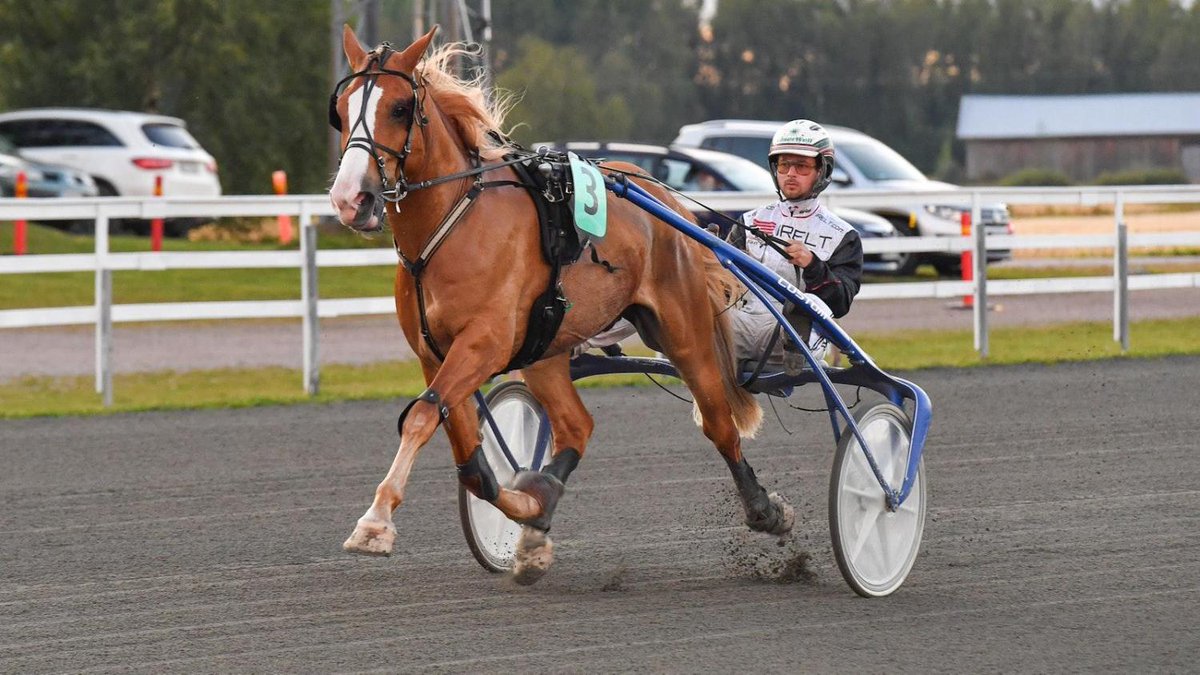 Stallone jää pois Oulusta maaseuduntulevaisuus.fi/hevoset/7ff22a…