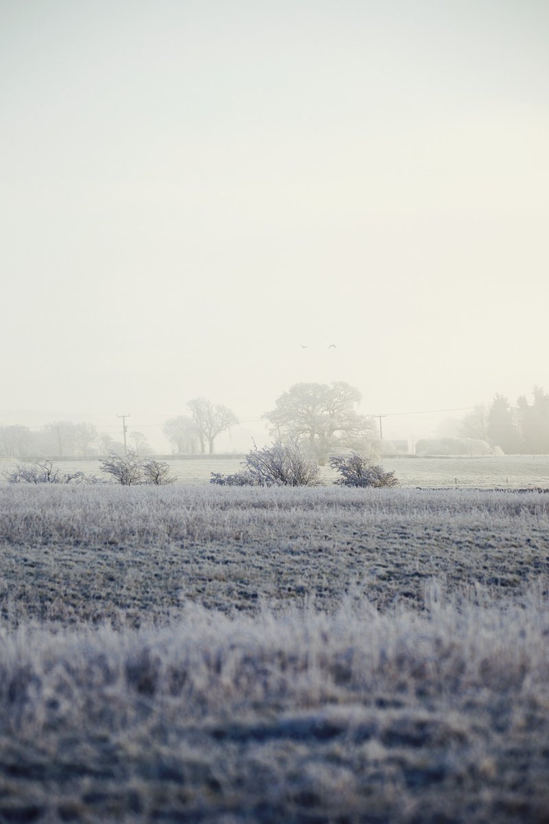 kylebonallo's tweet photo. Winter frost in Stirlingshire #Scotland #winter https://t.co/J1OFa1Yf8w