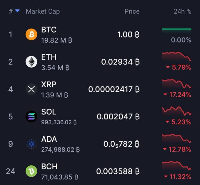 Bitcoin is the standard; everything else is pure speculation.