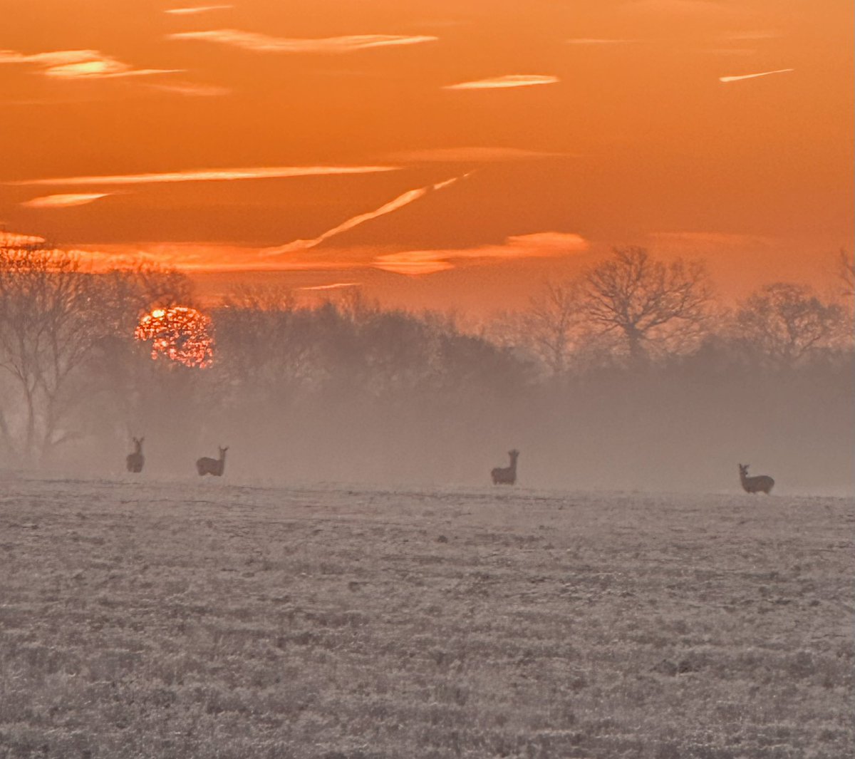 You can’t beat a Suffolk sunrise.