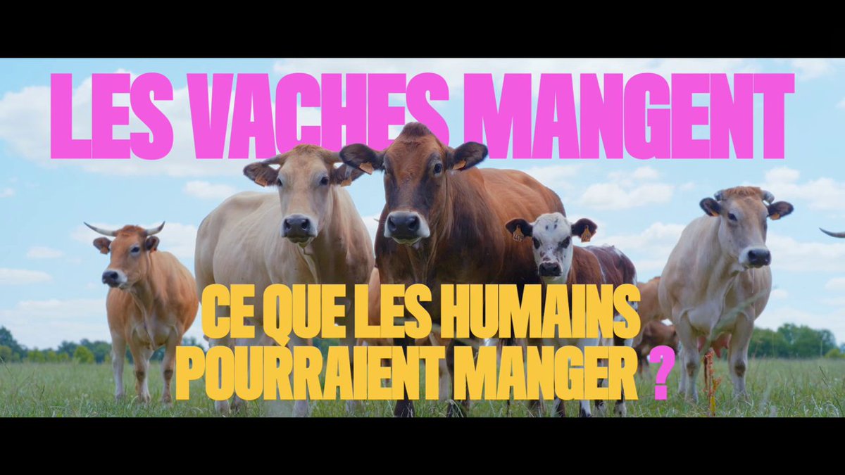 Interbev_fr's tweet photo. Aujourd'hui, on entend tout et son contraire sur l'élevage...  Alors qui mieux que les éleveurs et ceux qui les entourent pour faire le point et répondre à nos questions.

INTERBEV s’associe à la CNE, au CNIEL et à l’ANICAP pour soutenir le nouveau programme de TF1 sur l’élevage de ruminants : "Questions bêtes". À regarder tous les dimanches vers 19h50 sur TF1 et TF1+.

Découvrez le 16e épisode "Les vaches mangent ce que les humains pourraient manger ?" avec René, directeur de recherche à INRAE et Sébastien, éleveur de vaches à viande : https://t.co/vuEByLAF5t

#Élevage #QuestionsBêtes
