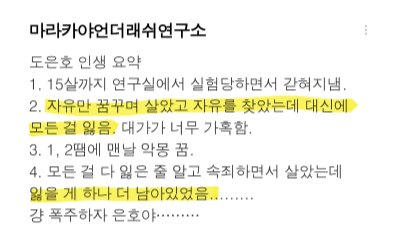플미래 🐈‍⬛ tweet media