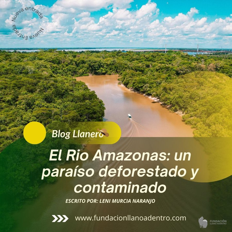 ATALinkata's tweet photo. #Amazonas con su blog: "El Río Amazonas: un paraíso deforestado y contaminado". 🌎 Una reflexión urgente sobre el cuidado de este icónico recurso.  📖 Léelo aquí 👉 https://t.co/R4gtPU0tWC https://t.co/PHDUHtZ08G