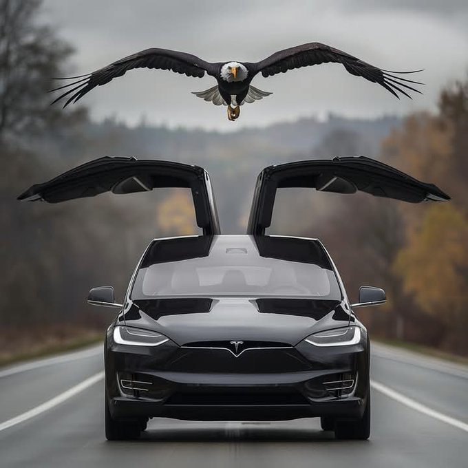 ceo_tesla116's tweet photo. Tesla Model X got falcon wings https://t.co/OA49StNDAe