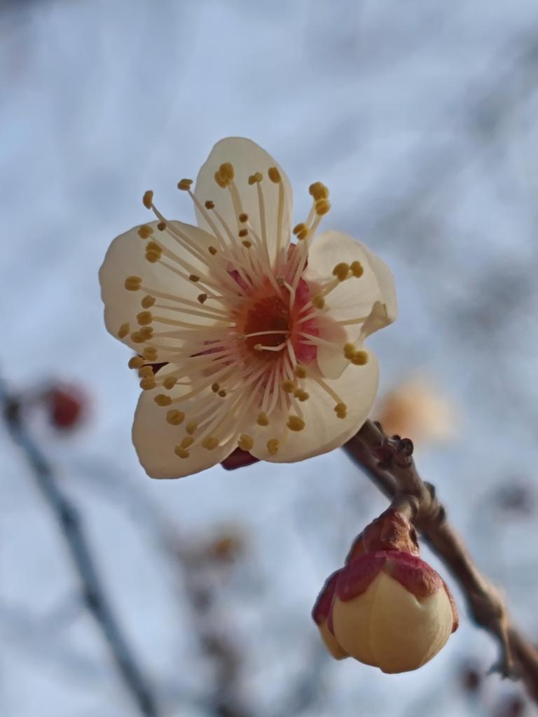 今日立春； 万物随春醒，美好皆可期，祝愿各位在新的一年里，人随春好，春随人宜，年头年尾，吉祥如意。