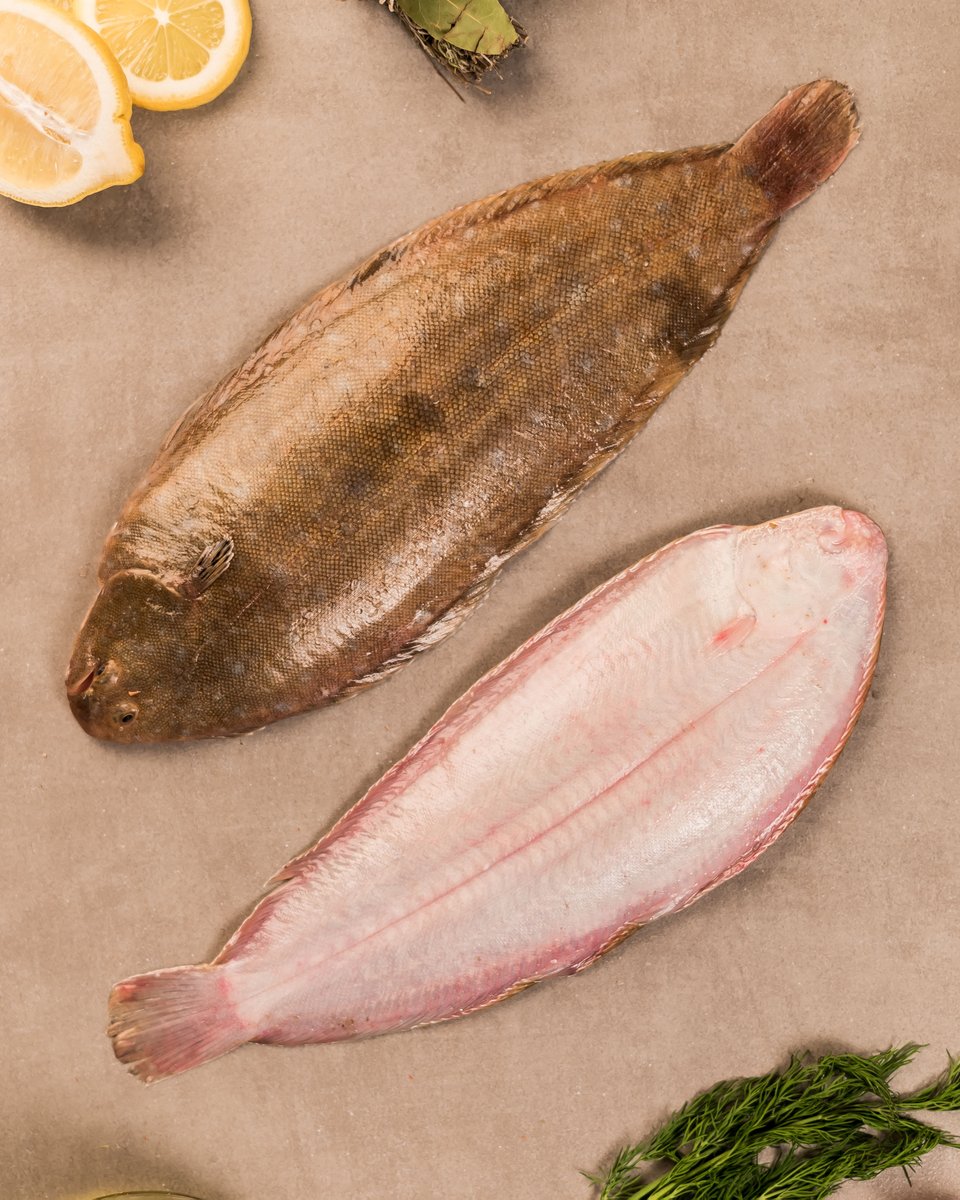 Plusfresc's tweet image. Com es diu aquest #peix pla, expert en camuflatge, que té els ulls al mateix costat del cos i una carn blanca i delicada?