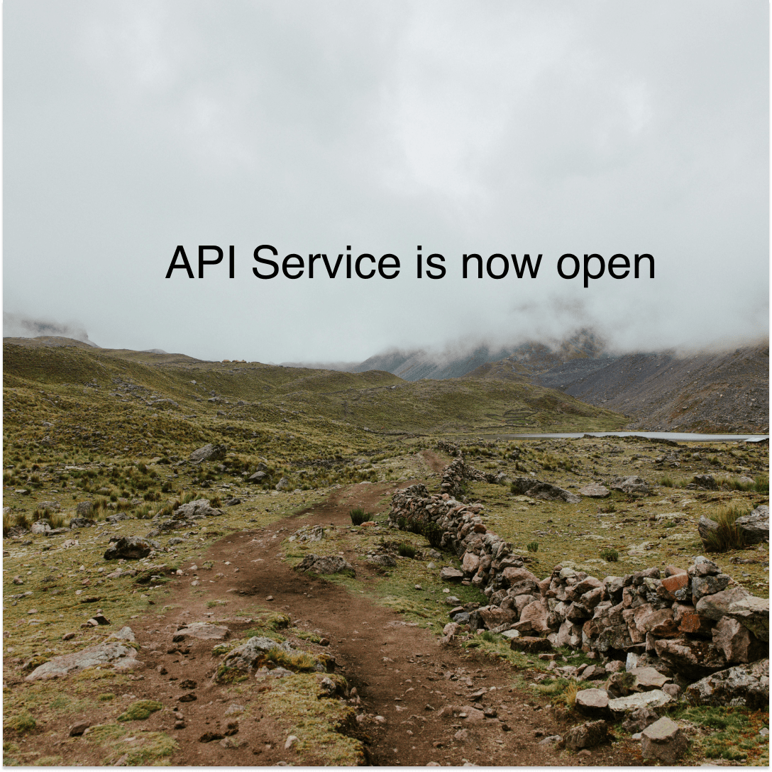 API Service is now open