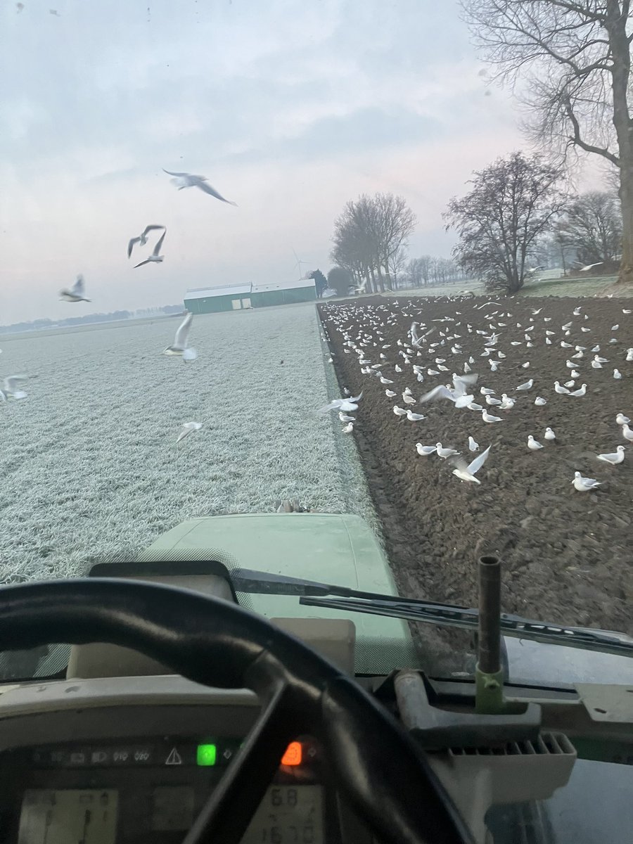 Dirk Jansen tweet media