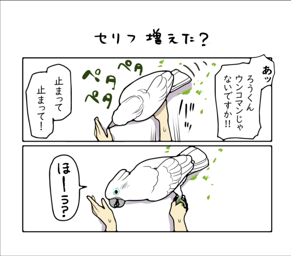 ちょっとスカした返事をするオウム。 