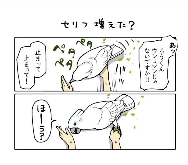 ちょっとスカした返事をするオウム。 