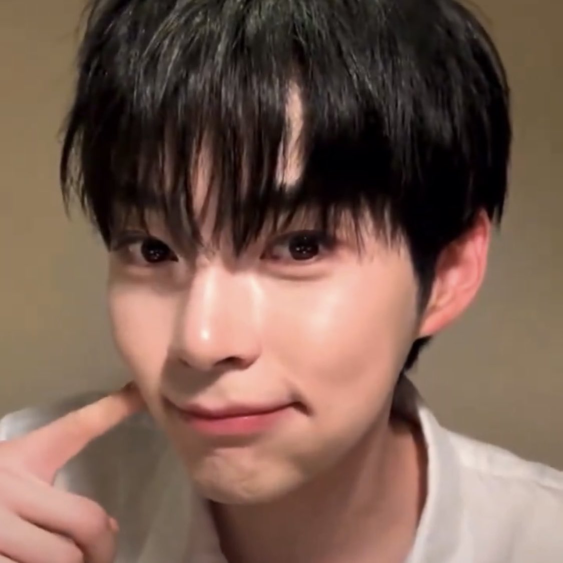 만두포즈 모찌피스 아무것도 몰르지만 해달라고 하면 일단 귀요운척함 #이게바로햄냥이야