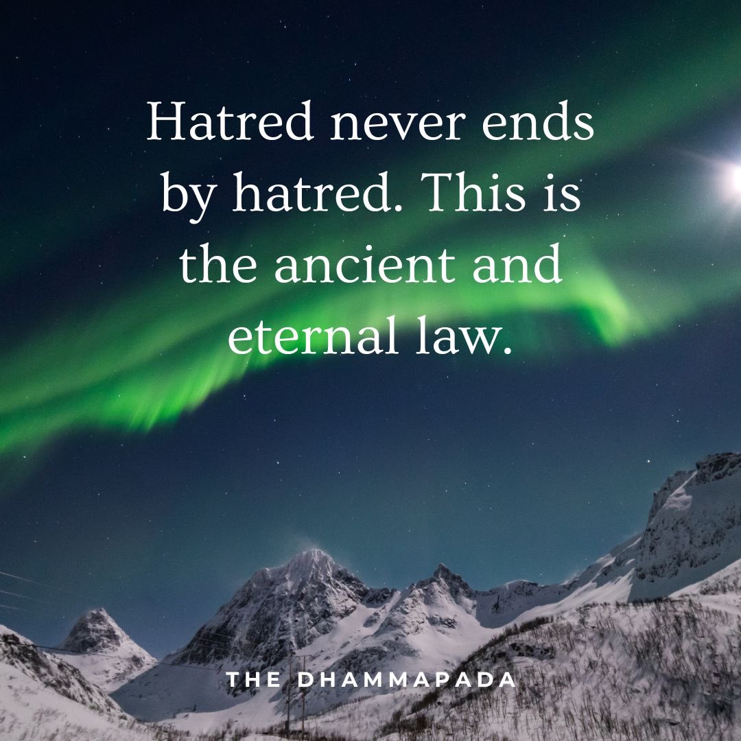 JackKornfield's tweet photo. Dear ones, remember, no one can take your spirit. ✨

In mindful response to current events, invite you to read my new article, “Stand Up For Compassion” containing wise reflections on how to live compassionately in wild times. 

https://t.co/FCJWaqCf8g 📖

With metta, 
Jack https://t.co/cE9I1195HI