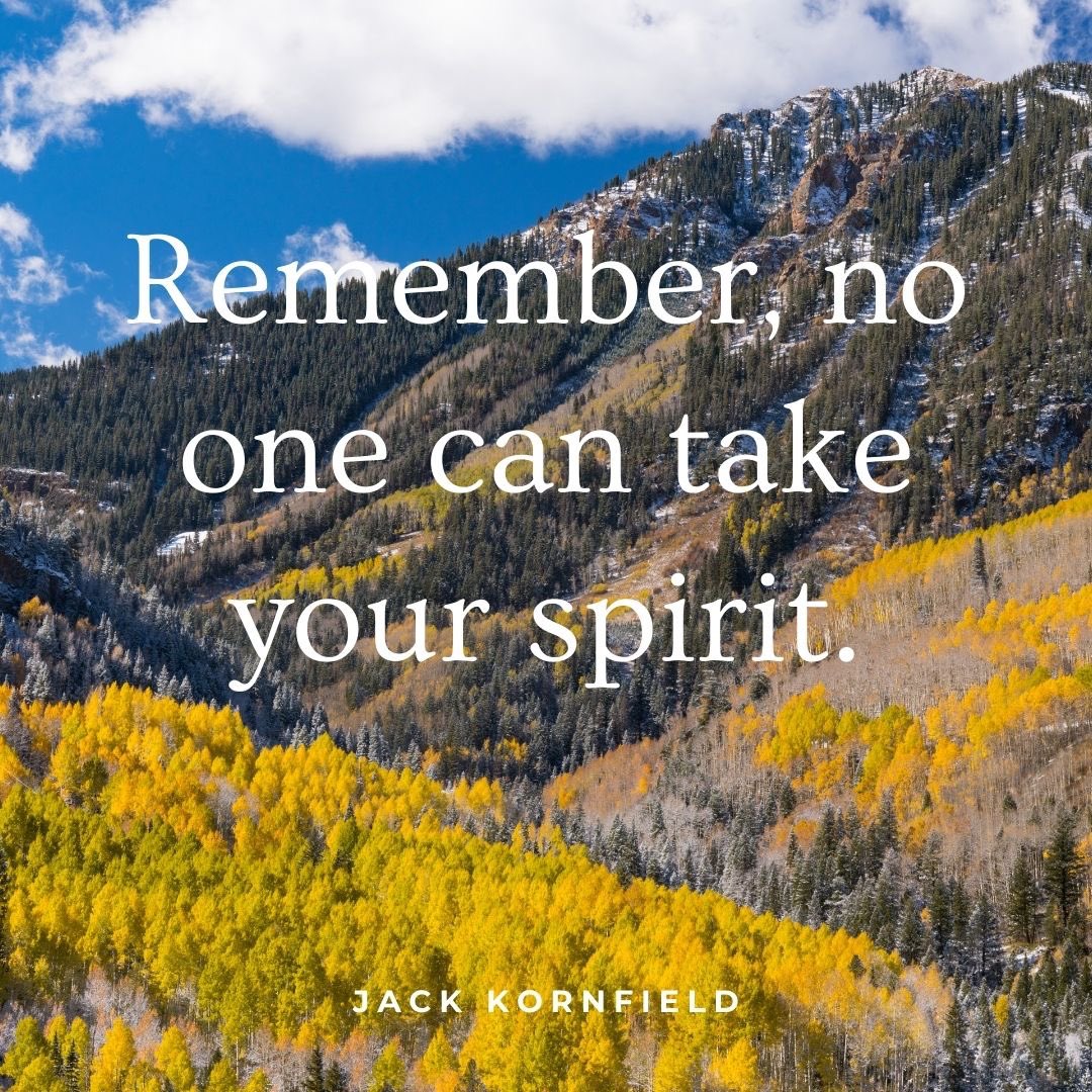 JackKornfield's tweet photo. Dear ones, remember, no one can take your spirit. ✨

In mindful response to current events, invite you to read my new article, “Stand Up For Compassion” containing wise reflections on how to live compassionately in wild times. 

https://t.co/FCJWaqCf8g 📖

With metta, 
Jack https://t.co/cE9I1195HI