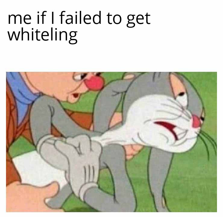 nftThug1's tweet photo. Day 3 of posting 4 memes daily on Twitter and discord for @CannaSapiensNFT community until I get whiteling.
@0xTama_ @NftRiles 
#CannabisCommunity #cannabisculture https://t.co/LabiH8SJZx