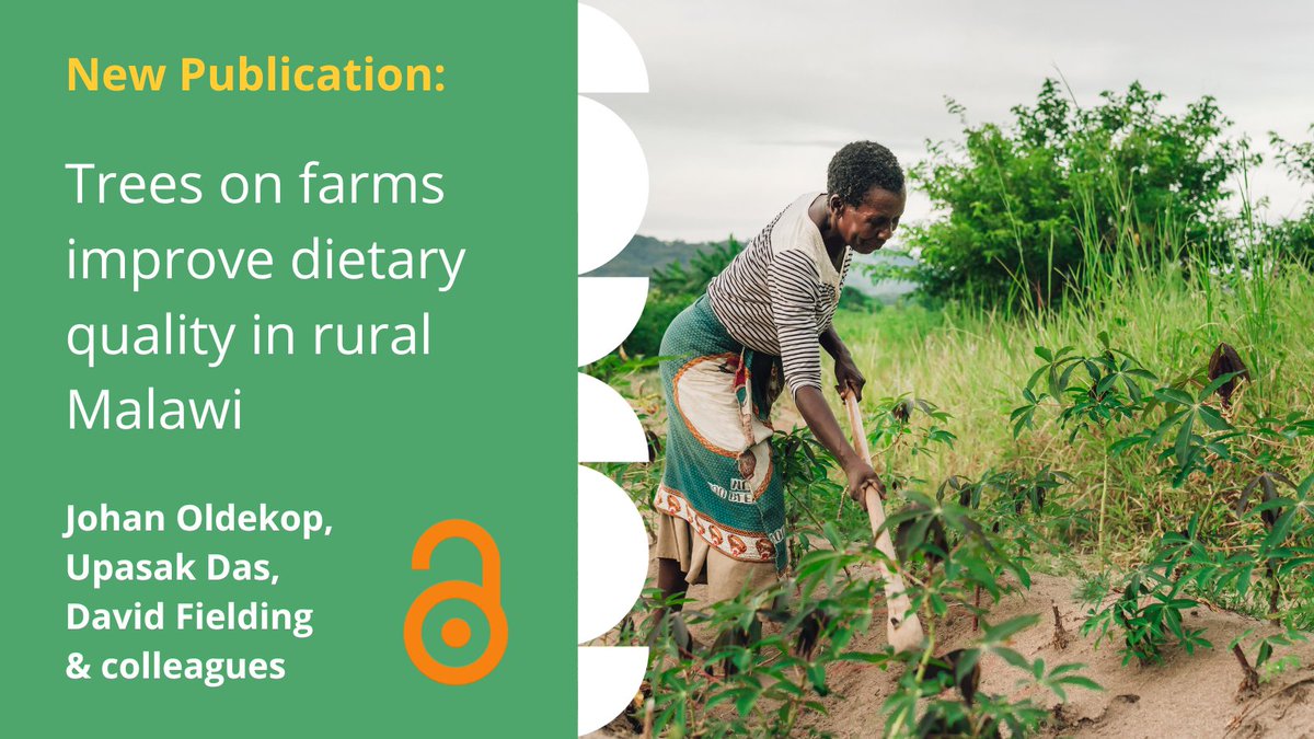 A new paper by Johan Oldekop, Upasak Das, David Fielding and colleagues explores how trees on farms not only provide agricultural and environmental benefits but can also contribute to food security.

The paper is open-access and can be read here: conbio.onlinelibrary.wiley.com/doi/10.1111/co…