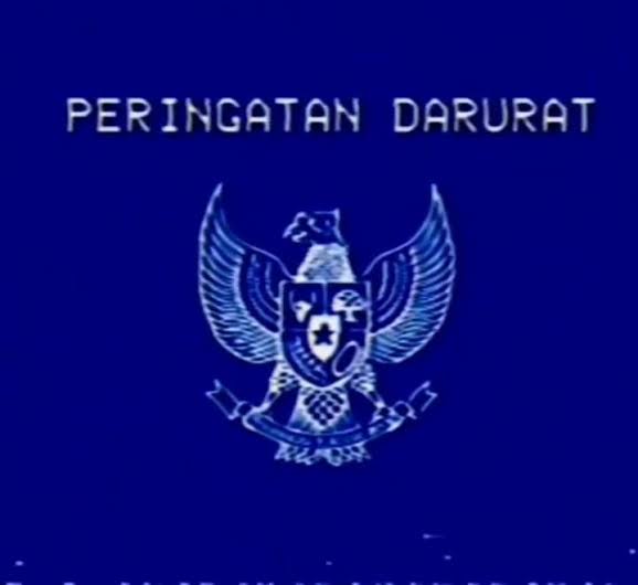 akun hewan | tapi bukan tweet media