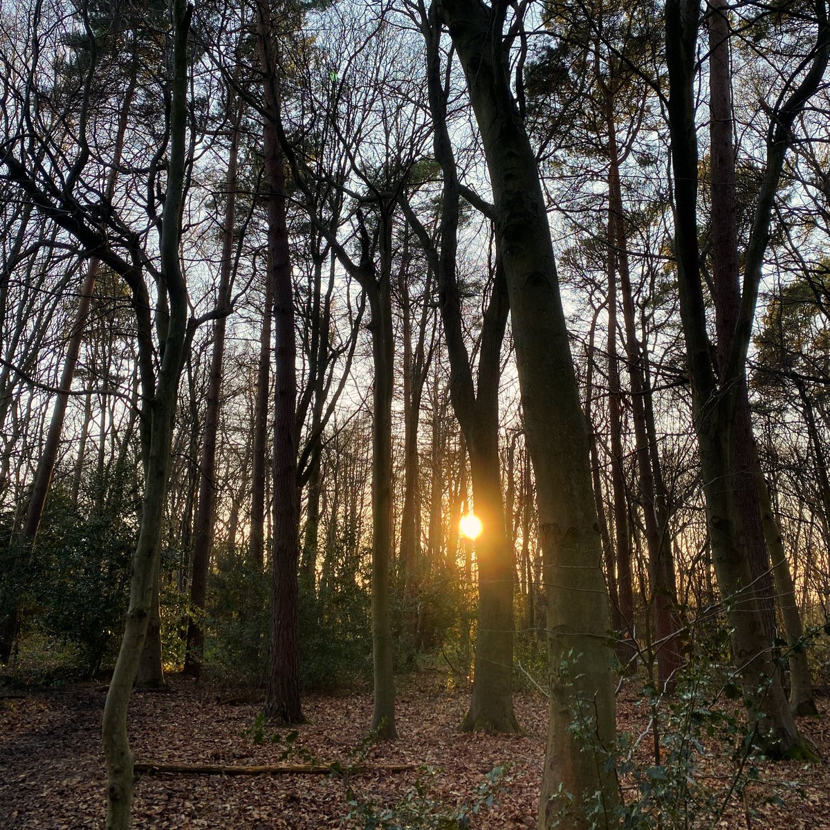 Walks In Camera 🇺🇦 tweet media