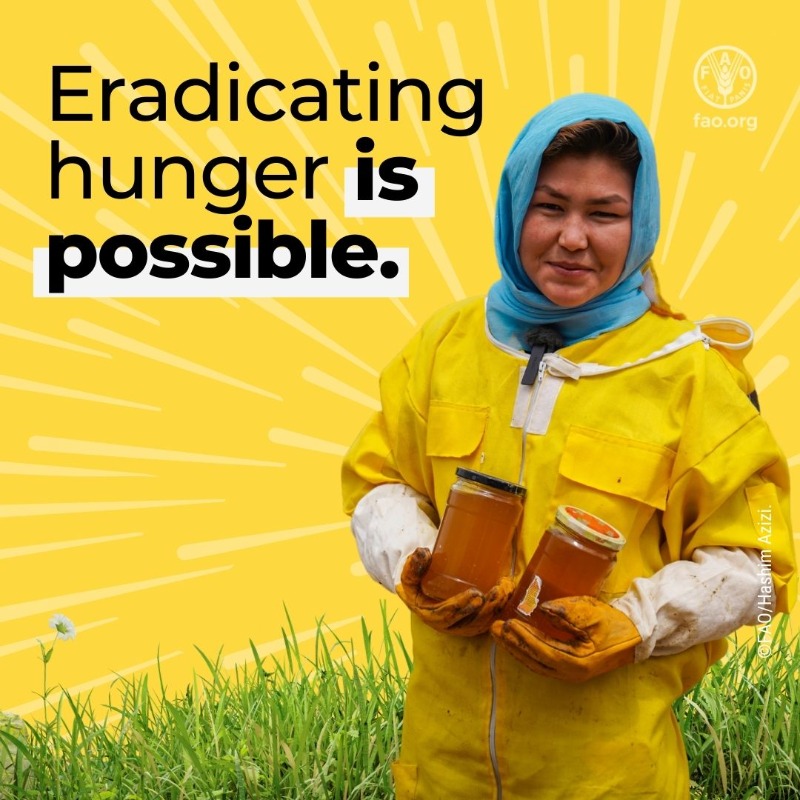 FAOemergencies's tweet photo. Emergency agricultural aid is:
1⃣ Humanitarian
2⃣ Cost-effective
3⃣ Strategic
4⃣ Long-lasting
5⃣ Empowering

Investing in agriculture means combating acute hunger, uplifting communities &amp; building more resilient futures.

https://t.co/VxJ7lPooWT

#InvestInHumanity #AgricultureCan
