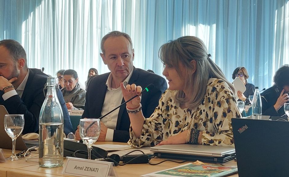 NON à la réintroduction des néonicotinoïdes !

<a href="/AmelZenati/">Amel ✌️🌾</a> a présenté un vœu de notre intergroupe afin de s'opposer à la réintroduction de l'acétamipride,  de la famille des néonicotinoïdes, dans notre agriculture, comme le propose le Sénat.