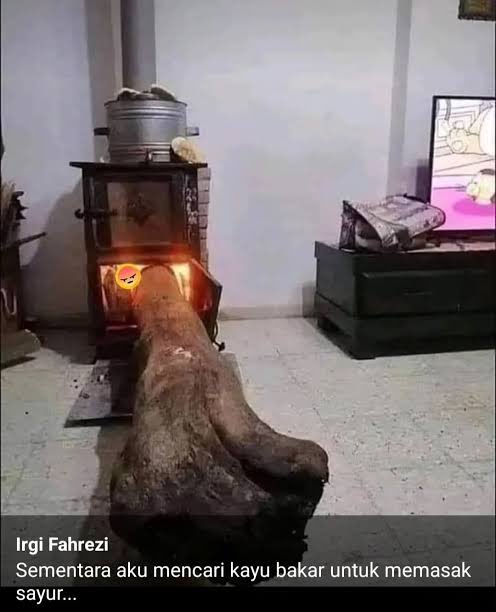 Gara-gara gas melon langka