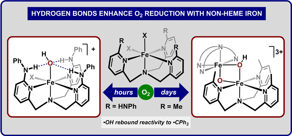 Szymczak Group (@szymczaklab) on Twitter photo Check out our recent paper in <a href="/J_A_C_S/">J. Am. Chem. Soc.</a> showing how H-bonds accelerate O2 reactivity in Fe-TPA complexes. Great job Andrew, Jessi, and Writhabrata - a long time in the making! <a href="/MichiganChem/">Michigan Chemistry</a> <a href="/UMichResearch/">Michigan Research</a> #2ndsphere4life #O2 pubs.acs.org/doi/full/10.10… Check out our recent paper in <a href="/J_A_C_S/">J. Am. Chem. Soc.</a> showing how H-bonds accelerate O2 reactivity in Fe-TPA complexes. Great job Andrew, Jessi, and Writhabrata - a long time in the making! <a href="/MichiganChem/">Michigan Chemistry</a> <a href="/UMichResearch/">Michigan Research</a> #2ndsphere4life #O2 pubs.acs.org/doi/full/10.10…