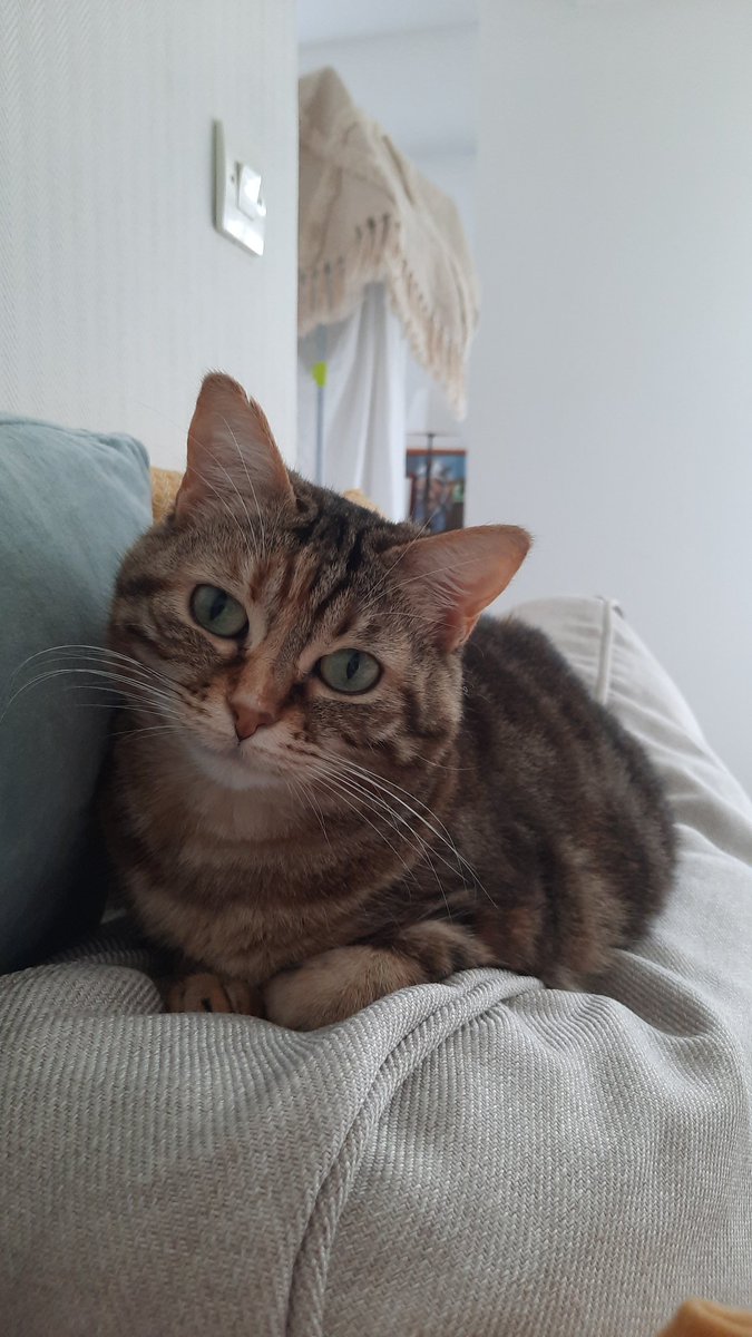 cricri4545's tweet image. #fmspad
Lettre C