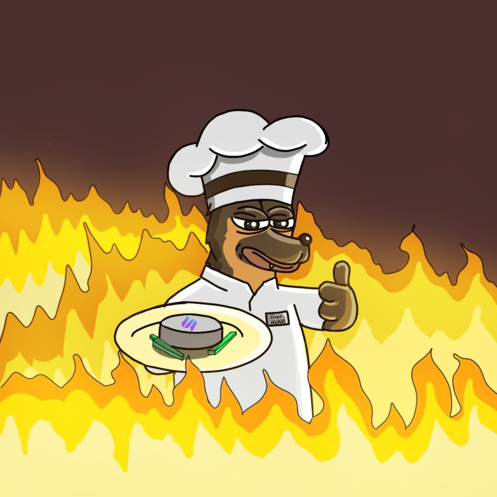 Let him cook! 

$HUND 🧑‍🍳