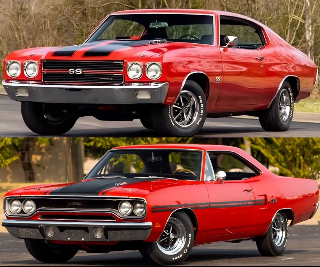 Vintage Cars Collection tweet media