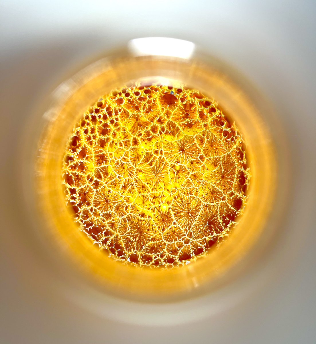 e_tacke's tweet image. Little kaleidoscope 🌼💛☀️
@MaulideLab
#Chemistry #RealTimeChem #CENChemPics
