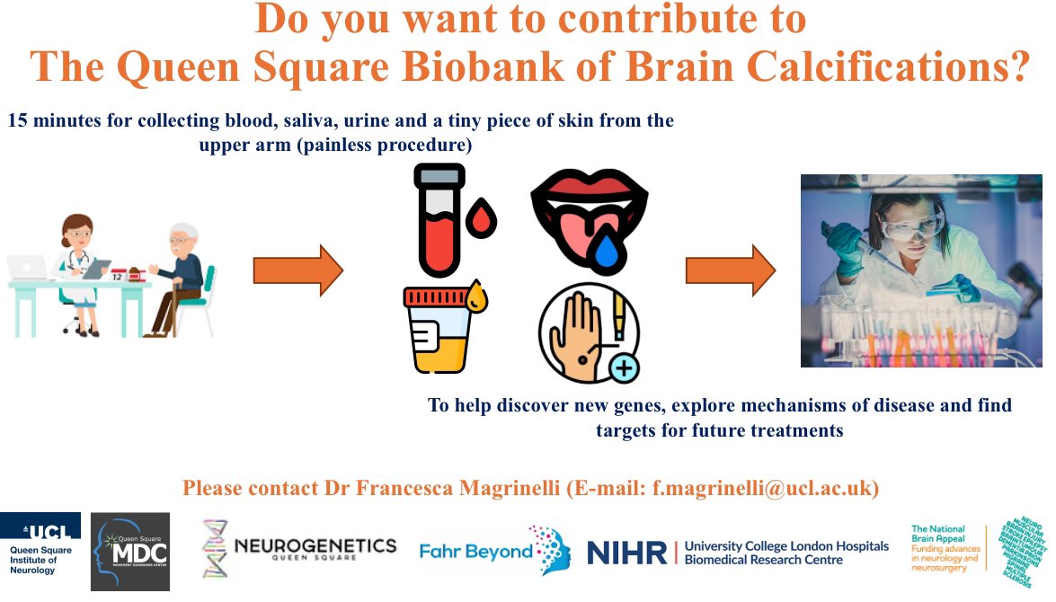 Francesca Magrinelli tweet media