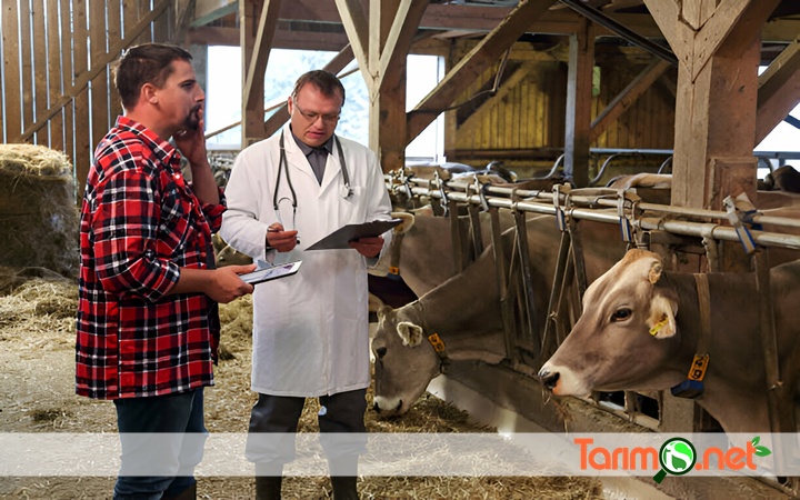 Tarım İş Net ile Sektörü Uzmanlarından Dinleyin!

Sektörün sürdürülebilirlik ve karlılık yönünden nasıl bir evrim geçirdiğini öğrenmek için uzmanların yaklaşım ve stratejilerini dinleyerek, güncel trendler hakkında kapsamlı bilgiler edinebilirsiniz...
tarimis.net/tarim-is-net-i…