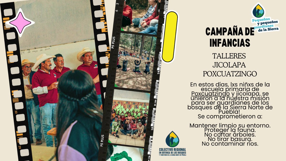 DefensaBosques's tweet photo. ✨ 2024: Un año de transformación para el Colectivo Regional en Defensa de los Bosques y Territorio de la Sierra Norte de Puebla 🌍✨Este año fortalecimos la defensa de nuestros bosques 🌲 con capacitación comunitaria 📚. https://t.co/N2sznN5p7q