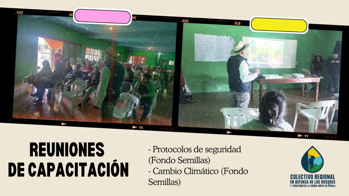 DefensaBosques's tweet photo. ✨ 2024: Un año de transformación para el Colectivo Regional en Defensa de los Bosques y Territorio de la Sierra Norte de Puebla 🌍✨Este año fortalecimos la defensa de nuestros bosques 🌲 con capacitación comunitaria 📚. https://t.co/N2sznN5p7q