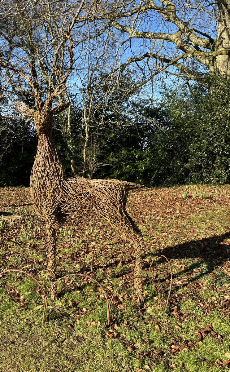 Susan Jones tweet media