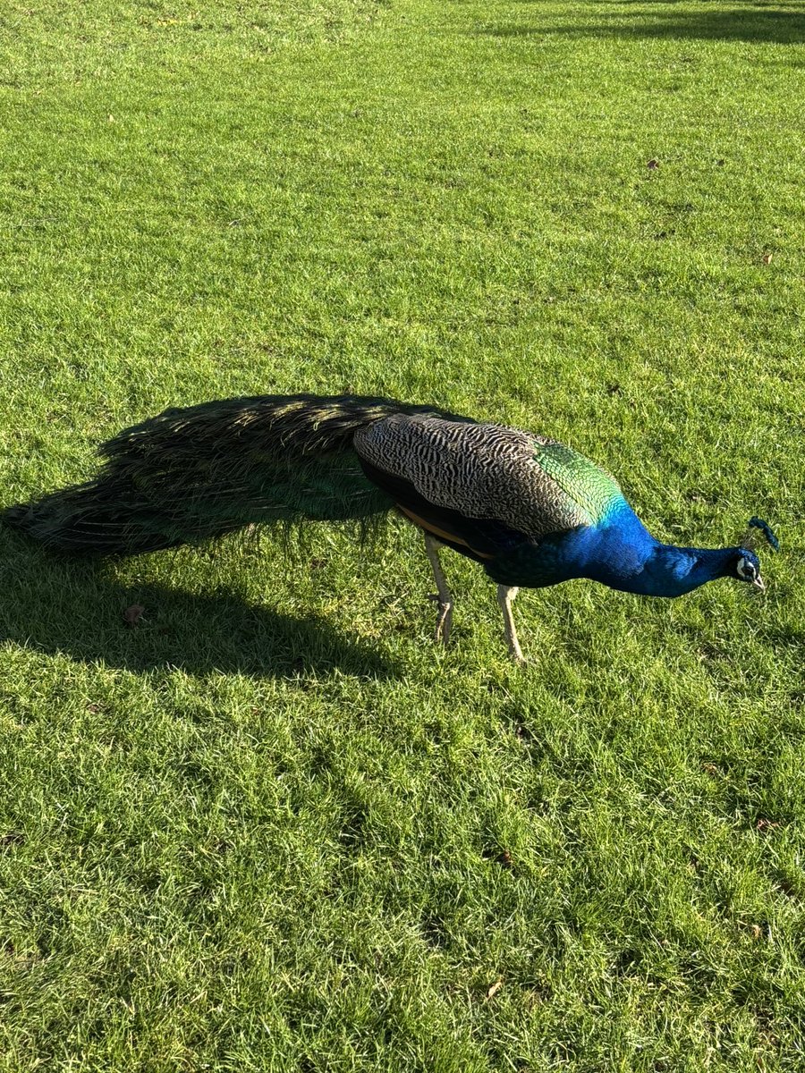 Susan Jones tweet media