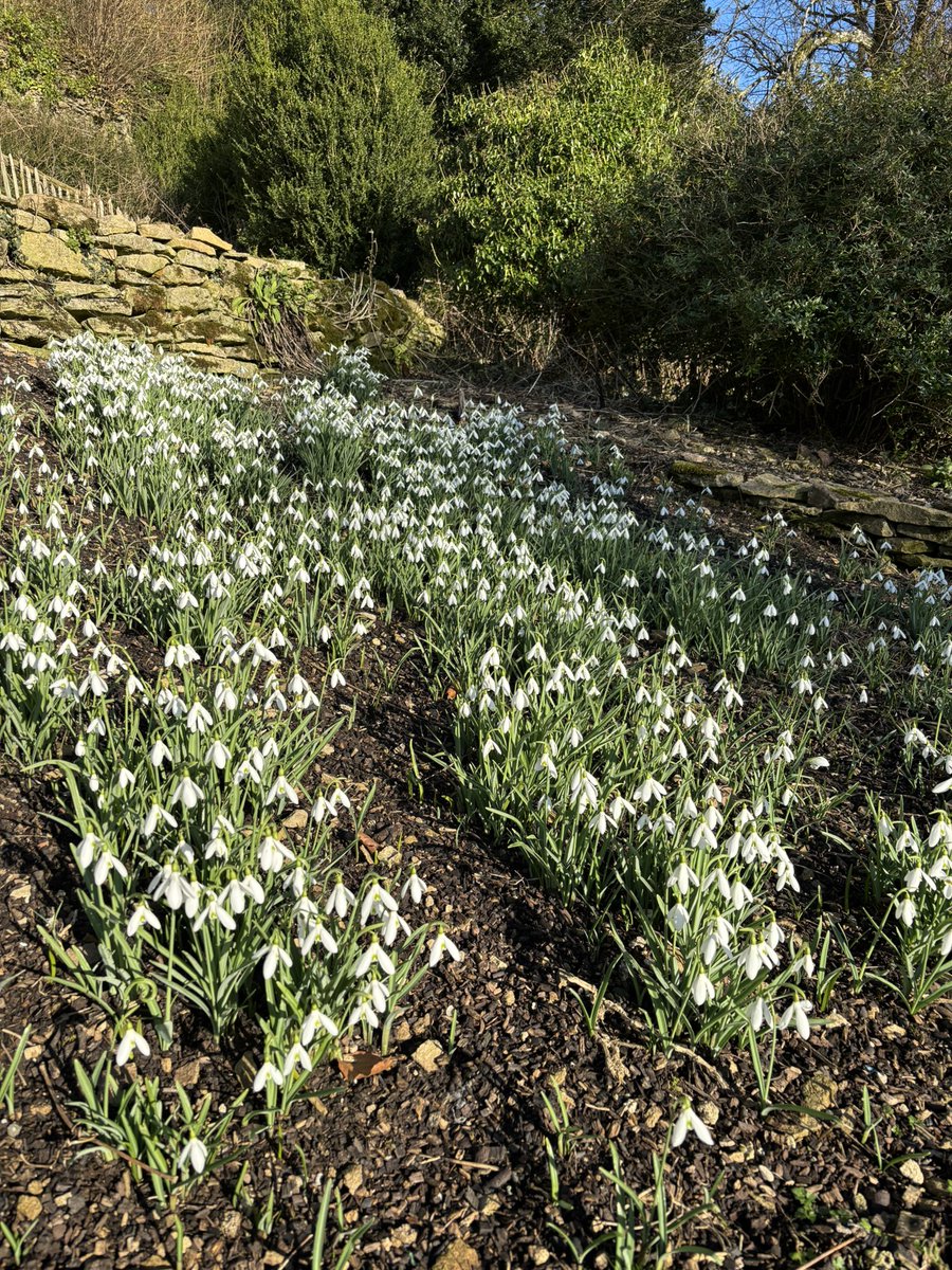 Susan Jones tweet media