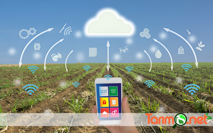 Tarım İş Net ile Güncel ve Rekabetçi Kalın!

#TarımİşNet sayesinde,pestisit kullanımından organik tarıma,dijital tarım uygulamalarından ihracat fırsatlarına kadar geniş bir yelpazede bilgiye ulaşabilir ve bu bilgileri iş süreçlerinize entegre edebilirsiniz
tarimis.net/tarim-is-net-i…