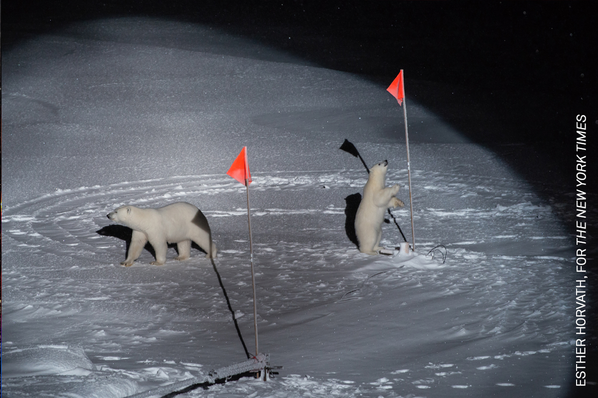 World Press Photo tweet media