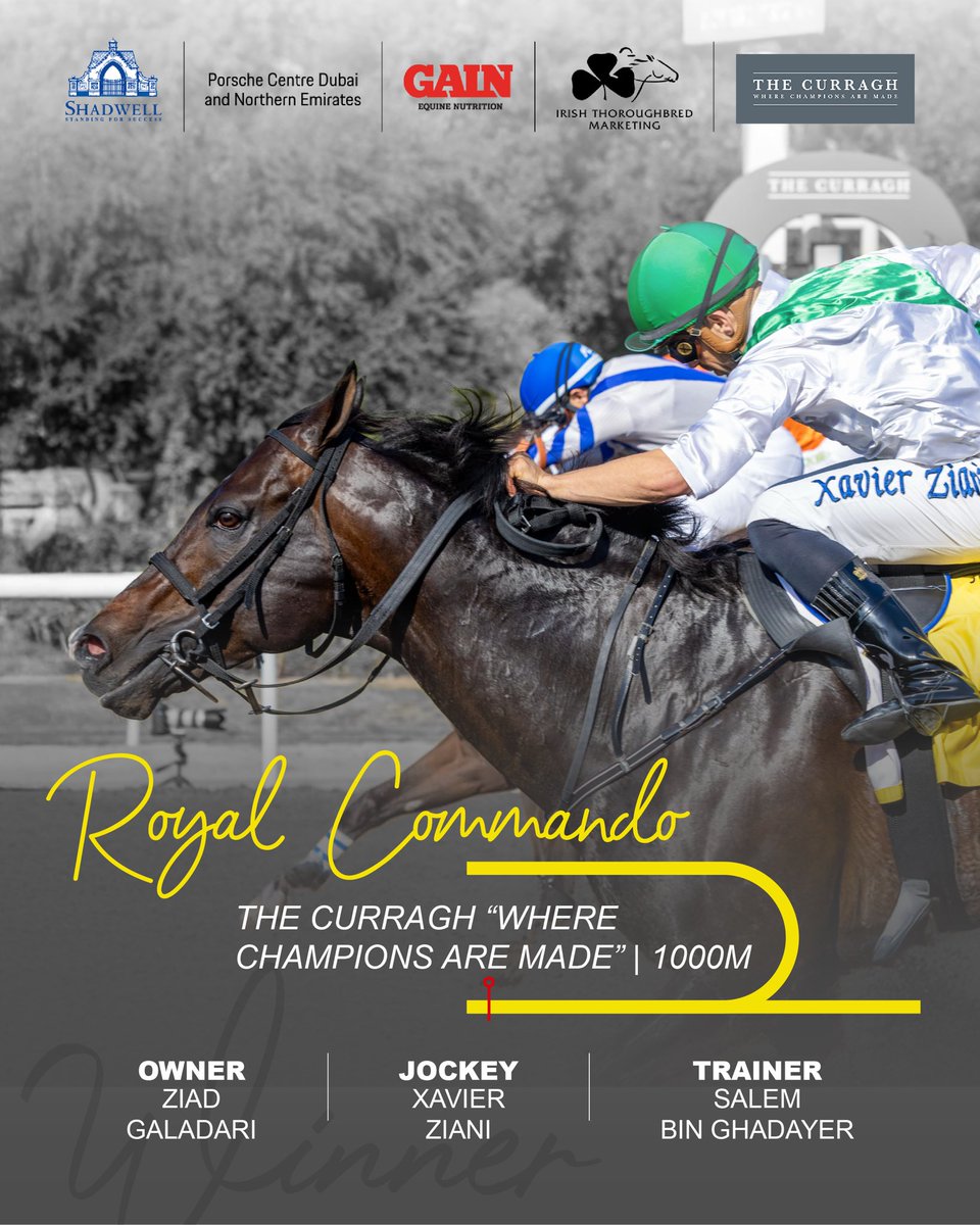 Jebel Ali Racecourse tweet media