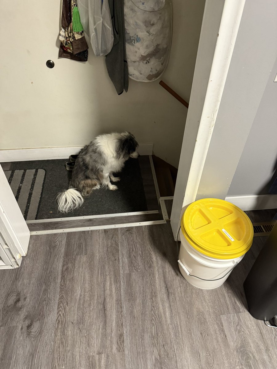 Adam Kitchens | Fitness Coach tweet media