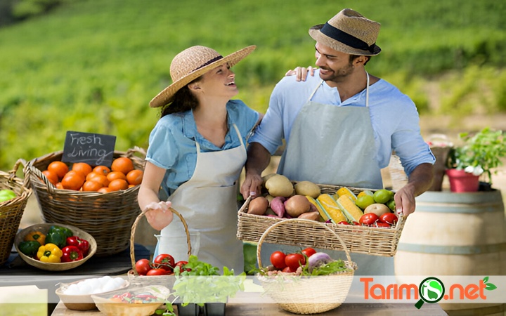 Tarım İş Net ile Ürün ve Hizmetlerinizi Tanıtın!

Tarım İş Net aracılığıyla, ürünlerinizin teknik özelliklerini, avantajlarını ve farklılıklarını detaylı bir şekilde paylaşabilir, potansiyel müşterilere yönelik kampanyalar düzenleyebilirsiniz...tarimis.net/tarim-is-net-i…