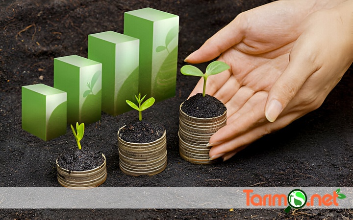 Tarım İş Net ile Ürün ve Marka Değerinizi Yükseltin!

Tarım İş Net, sağladığı uzman iş gücü ile markanızın değerini artırmanıza yardımcı olurken, aynı zamanda ürünlerinizin görünürlüğünü ve pazardaki algısını güçlendirmektedir...
tarimis.net/tarim-is-net-i…