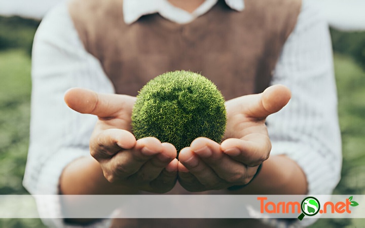 Tarım İş Net ile Geleceğinizi Şekillendirin!

Tarım İş Net, güncel içerikler, seminerler ve etkinlikler ile bilgi dağarcığınızı genişletmenizi sağlıyor. Sektördeki diğer profesyonellerle bağlantılar kurarak, iş fırsatlarınızı artırmanızda destek olmaktadır.tarimis.net/tarim-is-net-i…