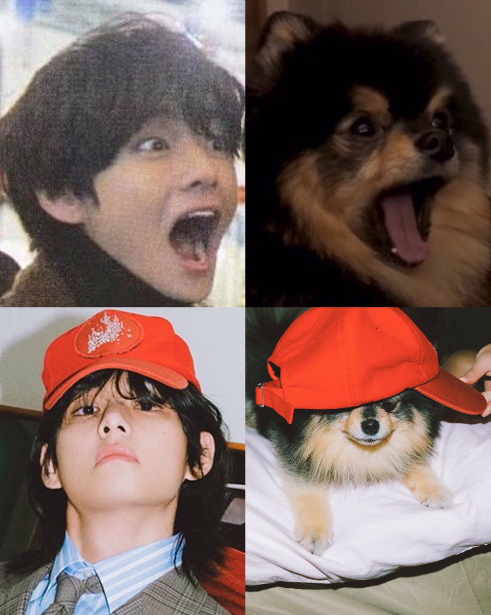 Taehyungimpact's tweet photo. Like father                                Like son https://t.co/gcSMqgDFUY