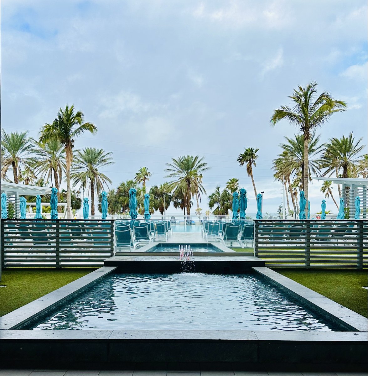Monday inspiration, Florida style🌴#loveyourlife #changeyourlife #luckygirl #abileads #CrazyConfident #baylife #tampa #tampabae #tampabay #tampaphotography #beinspired #beauty #LifeAfterLeapingIn #relocation #goodvibes #gratitude #gulfviews #happiness