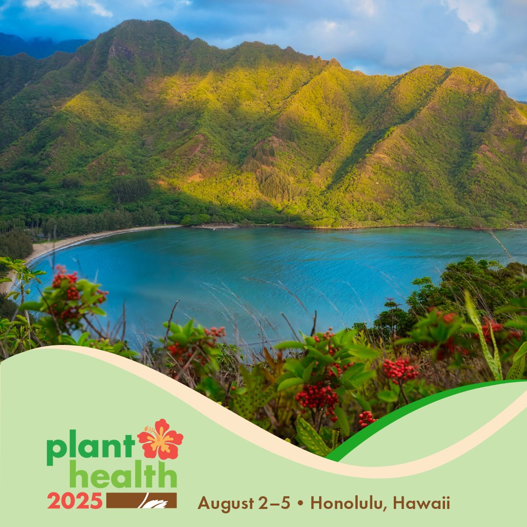 plantdisease's tweet image. Deadline Approaching! Have a field trip idea that will inspire attendees at Plant Health 2025? Submit your proposal and help shape an unforgettable experience in Honolulu! 
Submissions close on February 11.
🔗 bit.ly/4ggyhoU
#PlantHealth2025 #FieldTrip #PlantScience