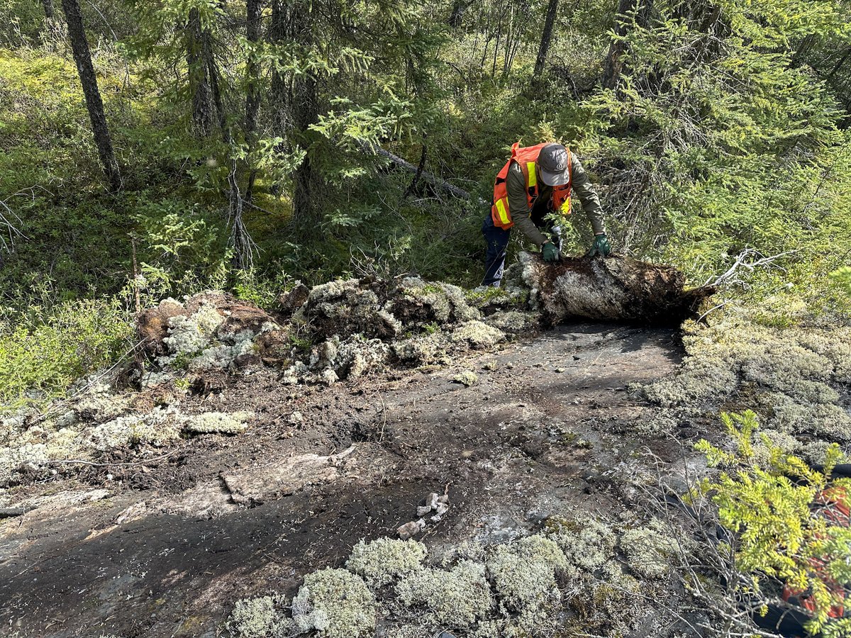 VoltaMetals's tweet photo. New discovery opportunities at $VLTA Volta Metals' Aki Project! MMI soil sampling reveals #lithium response ratios >40 across 4.5 km², with a 2.5x1.5 km target cluster suggesting untapped potential. Next step: stripping priority targets for future drilling.

Learn more: https://t.co/l9YjRdm1BC

#CriticalMinerals