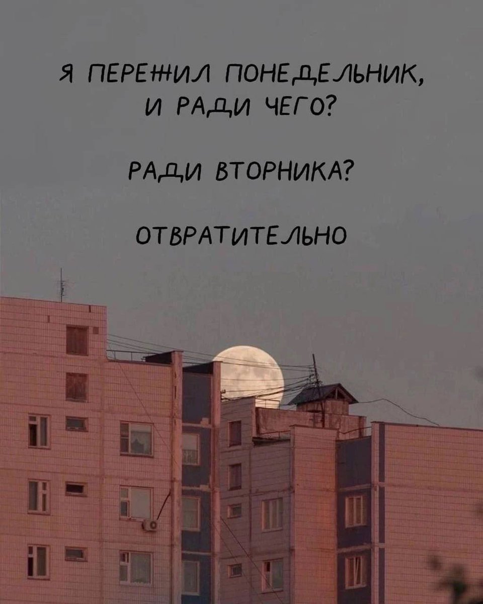 Дантес (@dantesdmitriy) on Twitter photo 